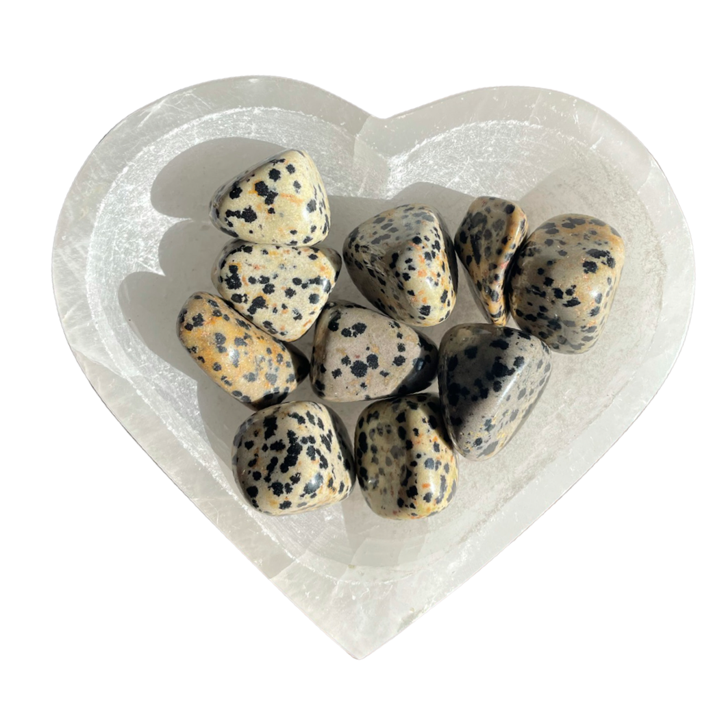 Dalmatian Jasper Tumbled Stone