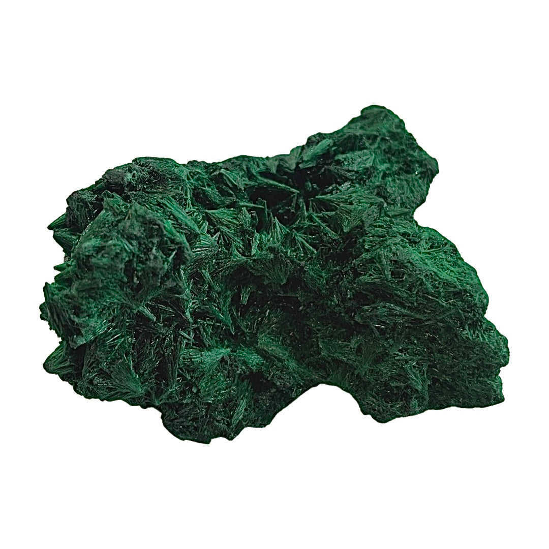 Velvet Malachite Speciman