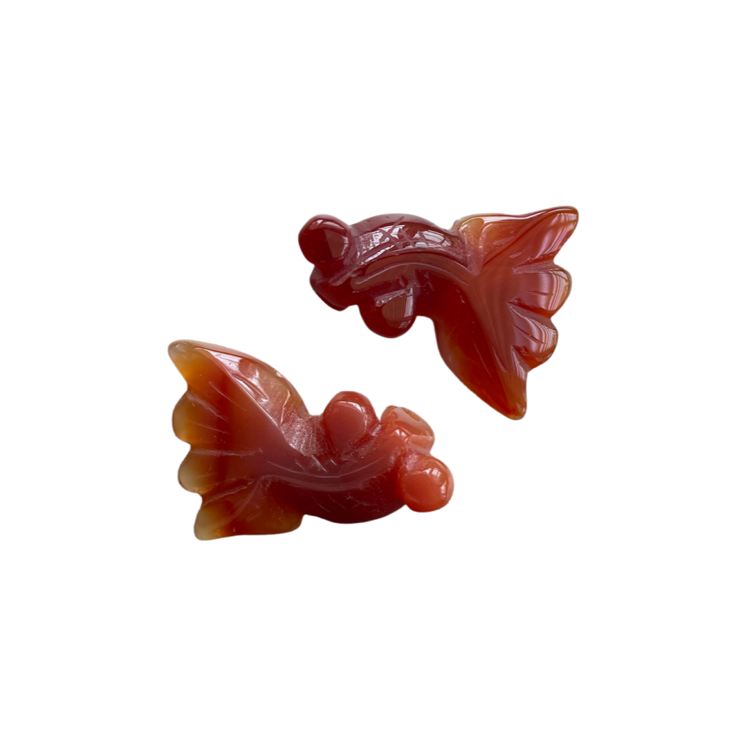 Carnelian Goldfish