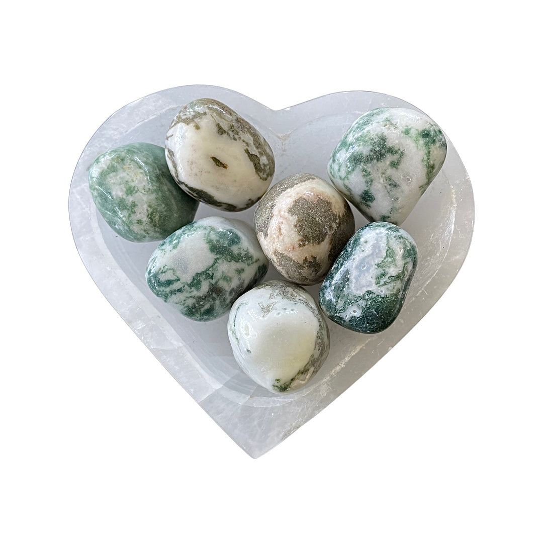 Tree Agate Tumbled Stone