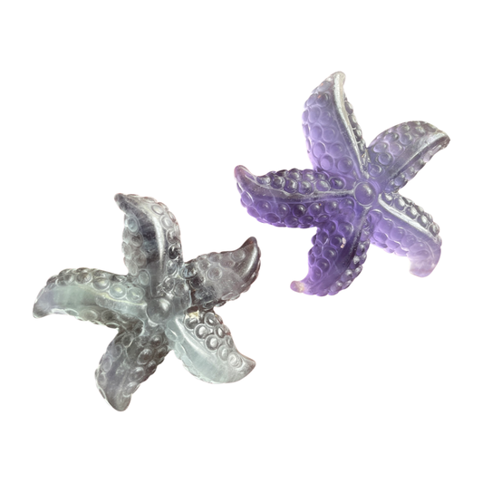 Fluorite Starfish