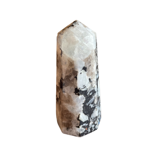 Rainbow Moonstone Thick Point